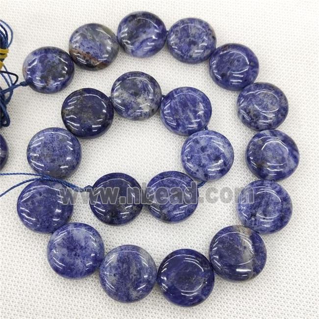 Natural Blue Sodalite Beads Circle