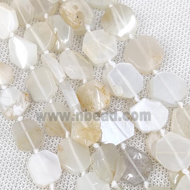 Natural White Moonstone Hexagon Beads