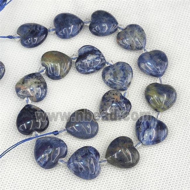 Natural Blue Sodalite Heart Beads