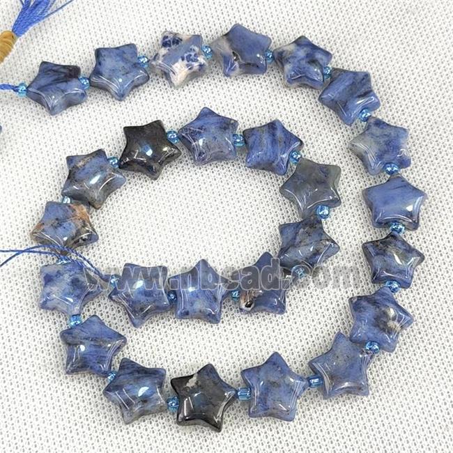 Natural Blue Sodalite Star Beads