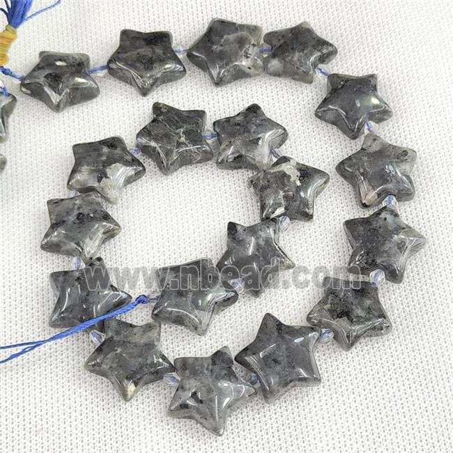 Natural Black Larvikite Labradorite Star Beads