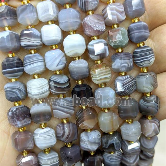 Natural Botswana Agate Beads Gray Faceted Cube
