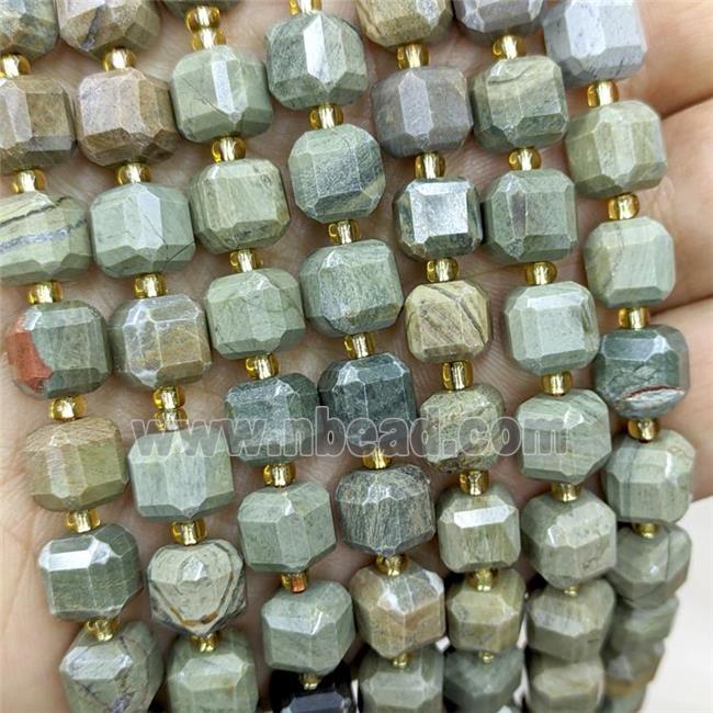 Natural Silver Leaf Jasper Beads Green Faceted Cube