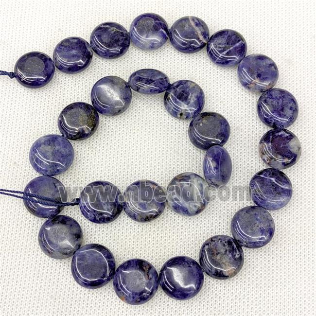 Natural Blue Sodalite Coin Beads