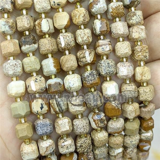 Natural Picture Jasper Beads Faceted Cube