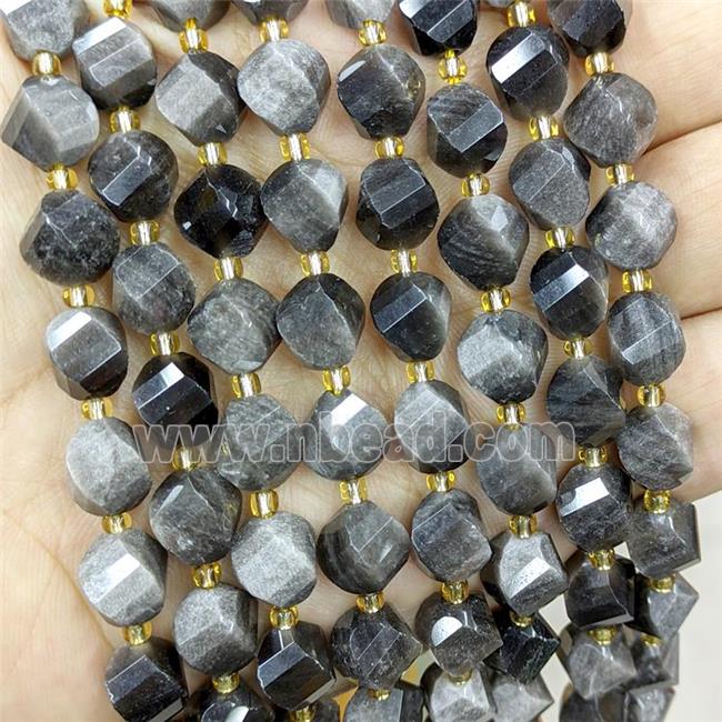 Natural Obsidian Twist Beads S-Shape Faceted Silver Flash