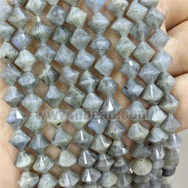 Natural Labradorite Bicone Beads