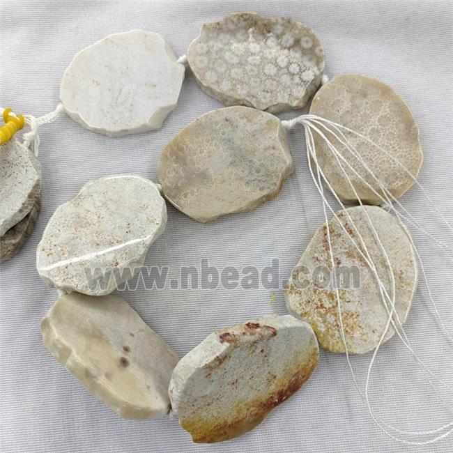 Natural Coral Fossil Slice Beads Freeform