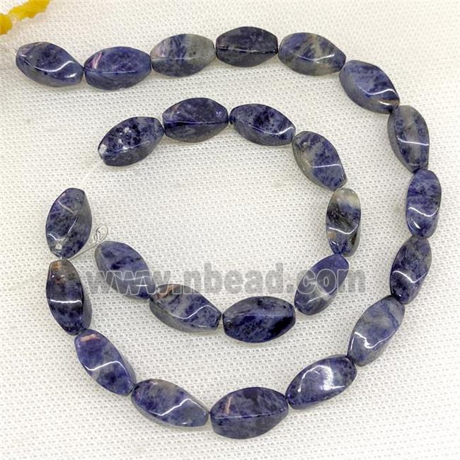 Natural Blue Sodalite Twist Beads