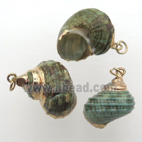 green Conch voluta Shell pendant, gold plated