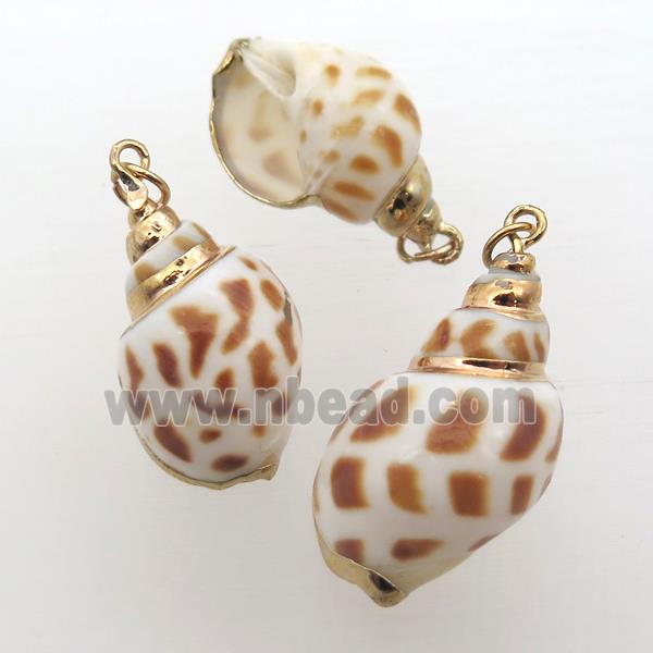 voluta Conch Shell Oyster pendant, gold plated