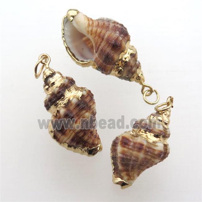 Conch voluta Shell Oyster pendant, gold plated