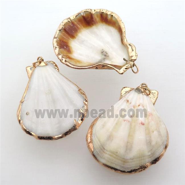 Conch Shell Clam pendant, gold plated