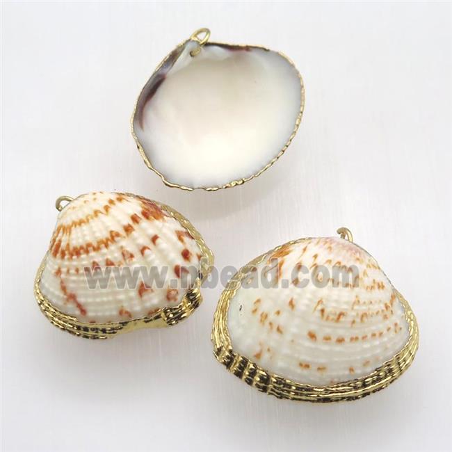 Conch Shell Clam pendant, gold plated