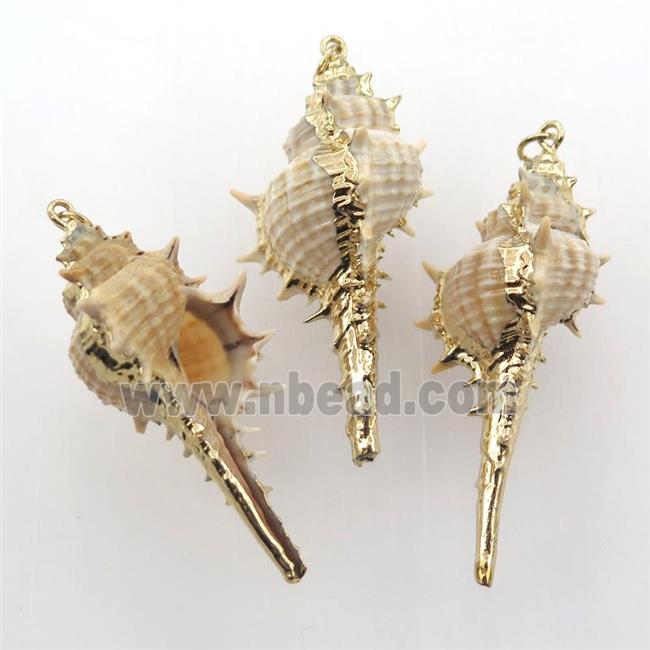 conch shell Oyster pendant, gold plated