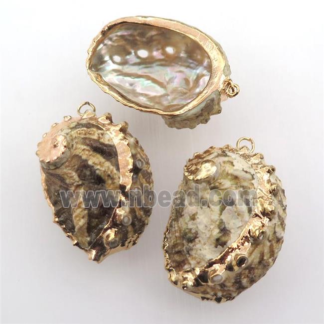 conch shell Oyster pendant, gold plated