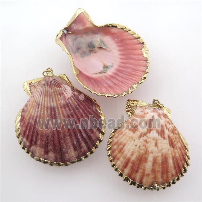 conch Clam shell pendant, gold plated