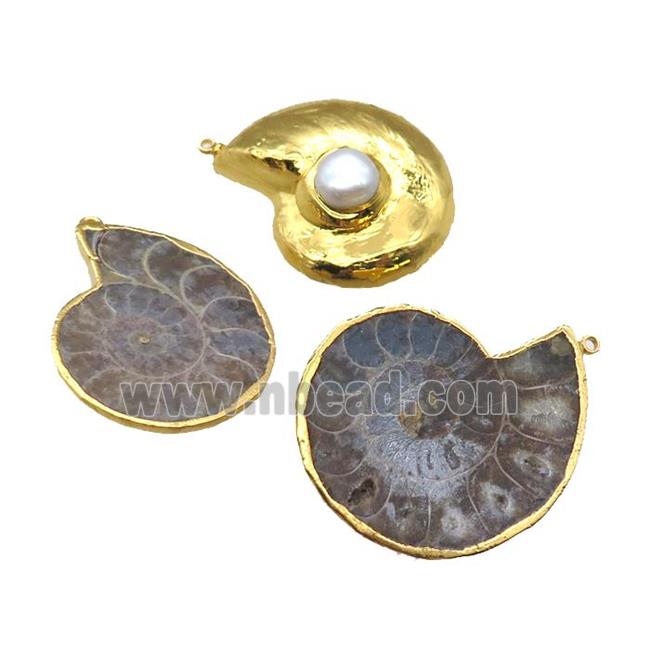 Ammonite Fossil pendant with pearl, gold plated