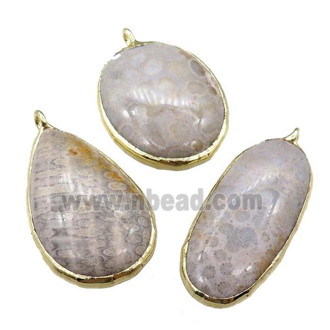 Coral Fossil pendant, mixed shape, mix color, gold plated