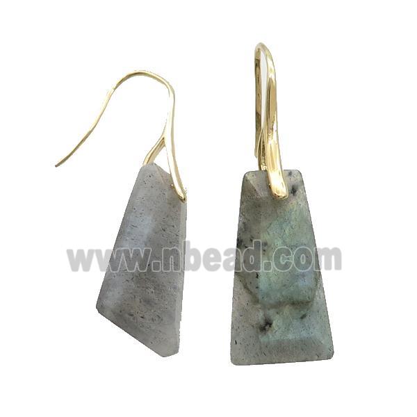 Natural Labradorite Hook Earring Trapeziform Copper Gold Plated