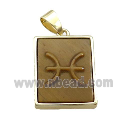 Natural Tiger Eye Stone Pendant Zodiac Pisces Rectangle Gold Plated