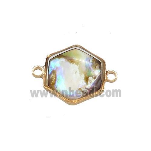 Abalone Shell Hexagon Connector Gold Plated