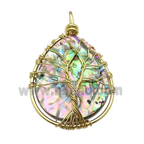 Abalone Shell Teardrop Pendant Tree Of Life Copper Wire Wrapped Gold Plated