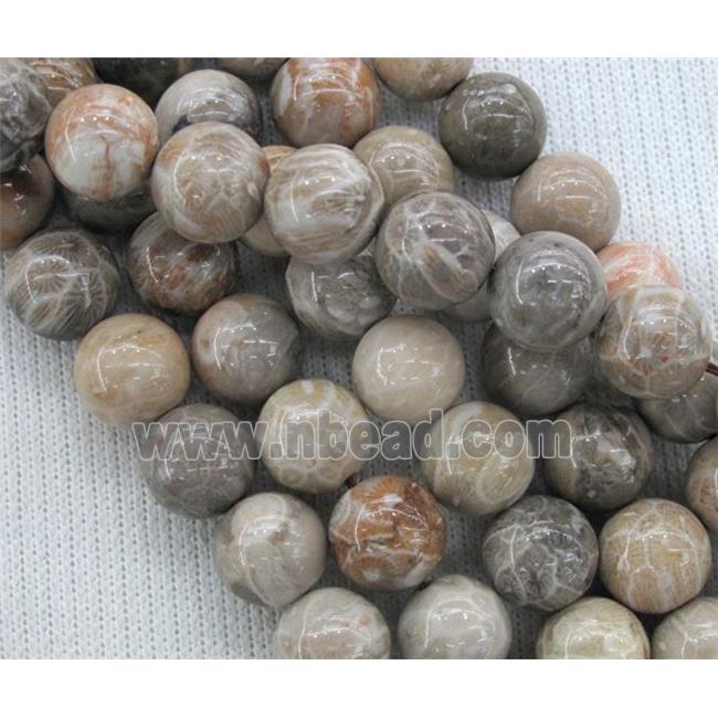 Fossil Coral Beads, chrysanthemum, round