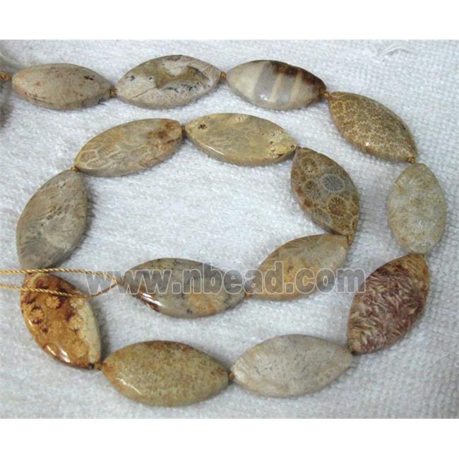 Coral Fossil Beads, chrysanthemum, horse eye