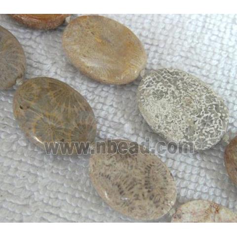 Coral Fossil Beads, chrysanthemum, flat oval