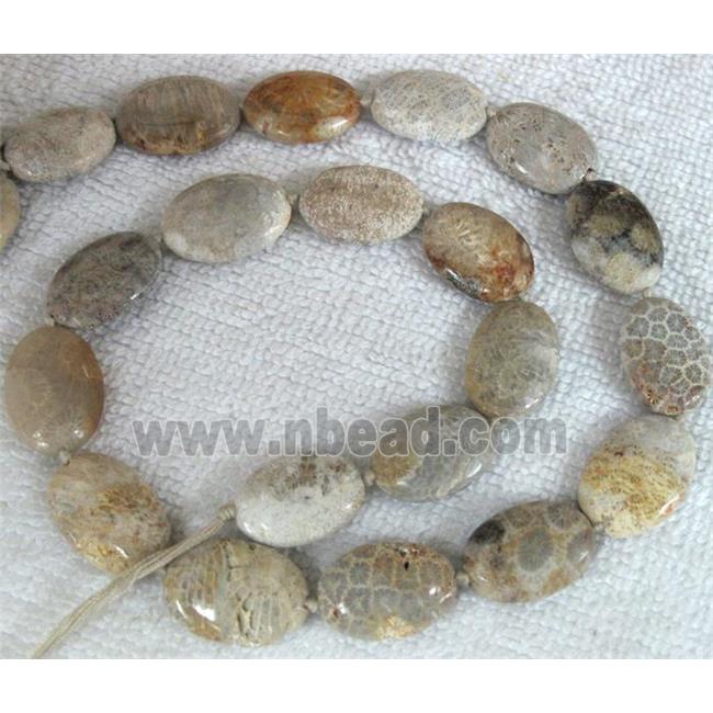 Coral Fossil Beads, chrysanthemum, flat oval