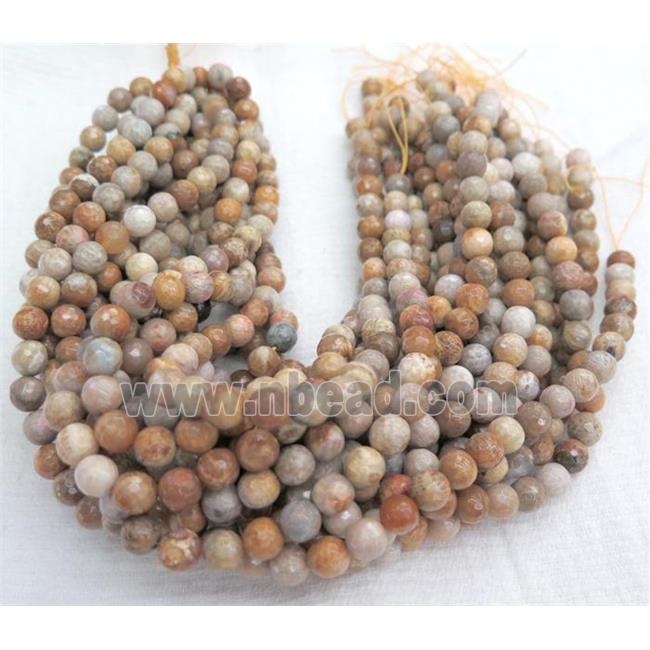 Natural Coral Fossil Beads Faceted Round