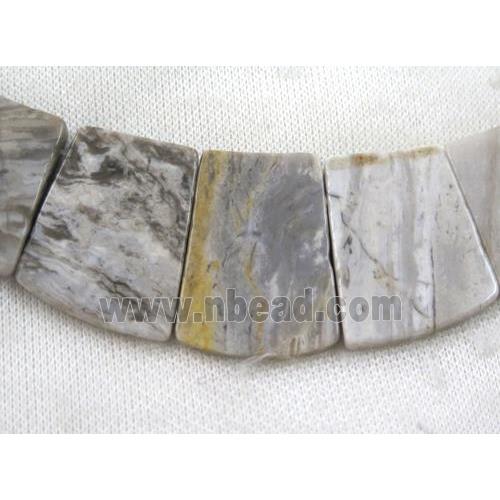 Silver Leaf Jasper necklace, freeform