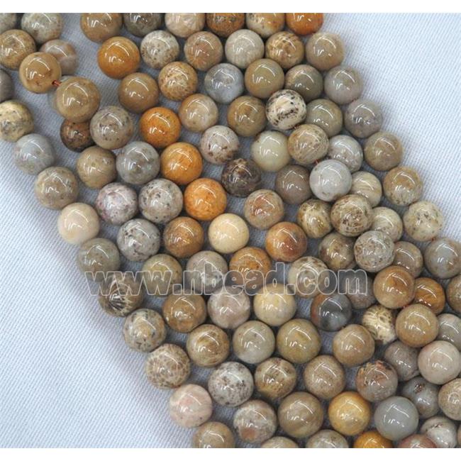 round coral fossil beads
