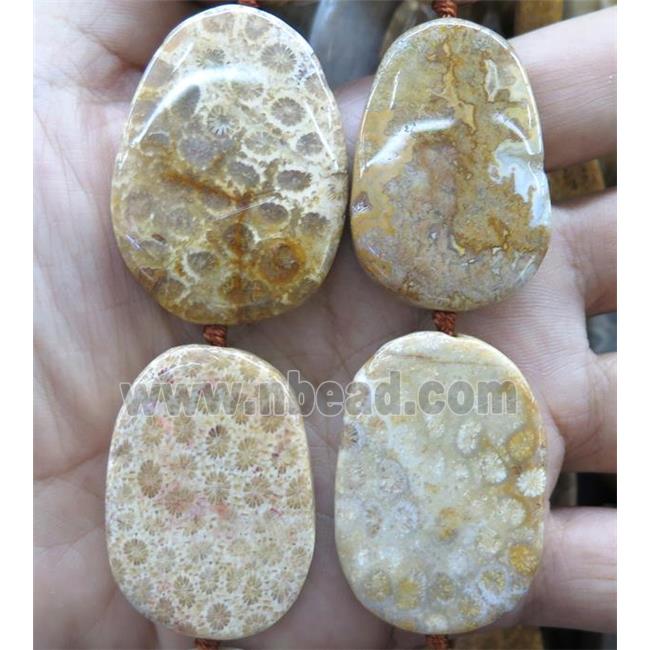 Khaki Coral fossil slice beads, flat freeform