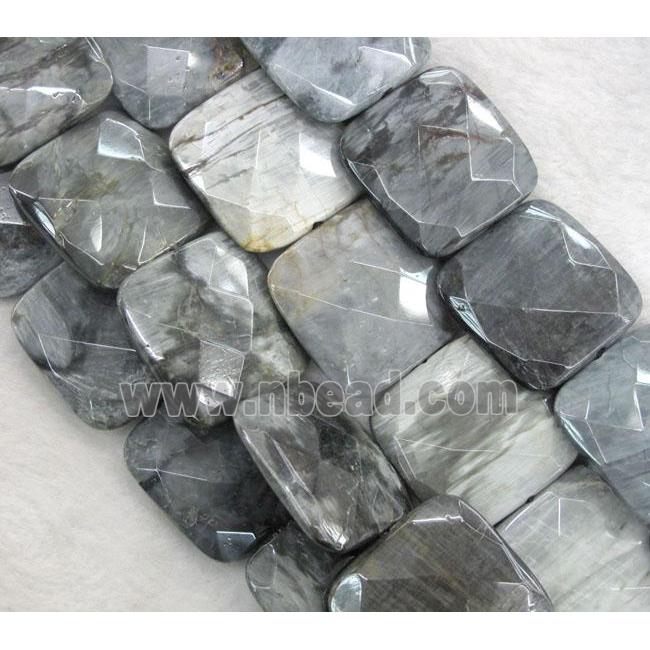 natural hawk Eye Stone beads, faceted square