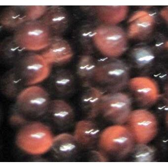 tiny red tiger eye beads, round