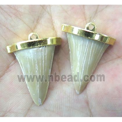 fossil of shark-tooth pendant, gold plated
