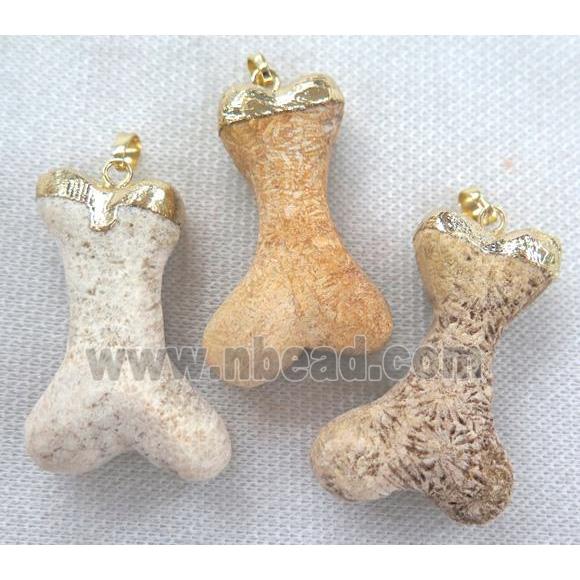 coral fossil pendant, dogBone shape, gold plated