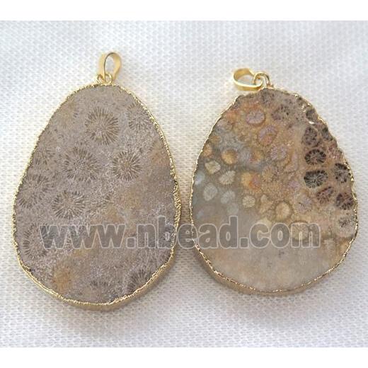 coral fossil slice pendant, freeform, gold plated