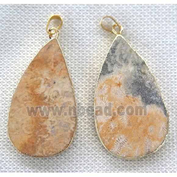 coral fossil teardrop pendant, gold plated
