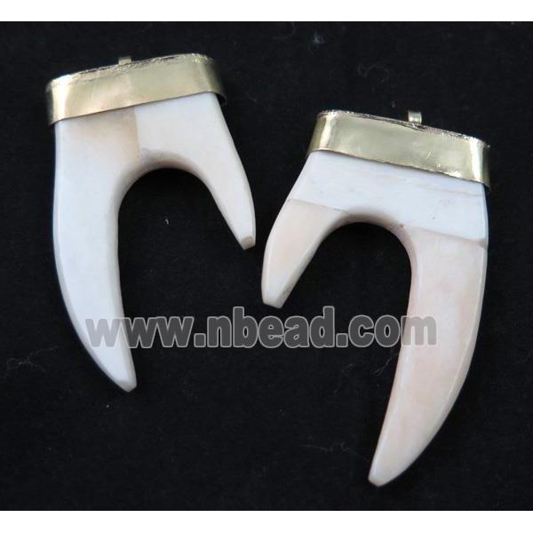 white bone tusk pendant, tiger tooth