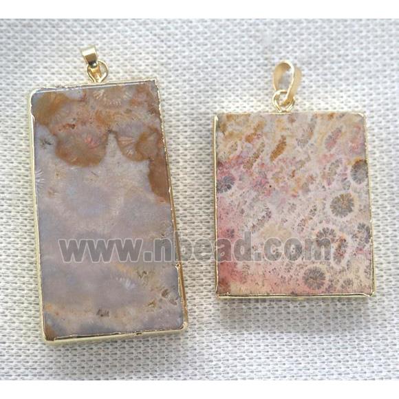 coral fossil pendant, rectangle, gold plated