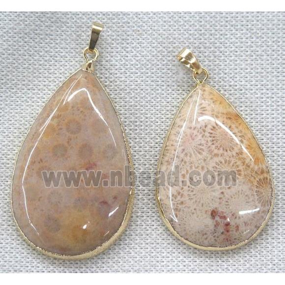 coral fossil pendant, teardrop, gold plated