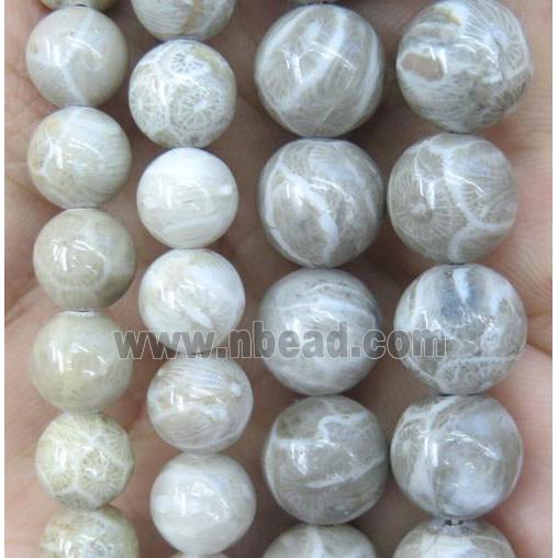 round coral fossil beads, Grade A