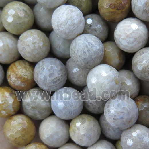 Indonesia Coral Fossil Beads, faceted round