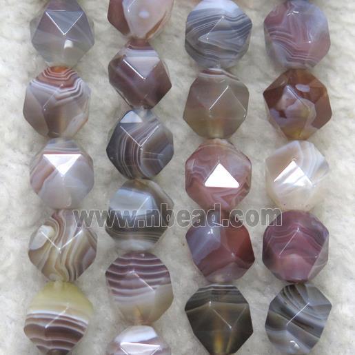 faceted round Botswana Agate ball beads