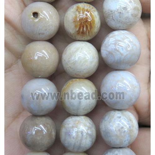 coral fossil jasper bead, round