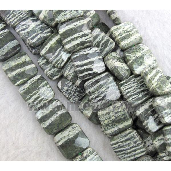 Natural Green Silver-line Jasper Beads, faceted square