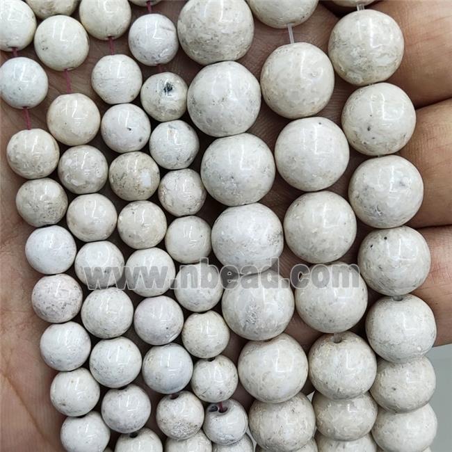 Natural River Fossil Beads Smooth Round White